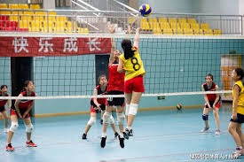 斗地主赛事数据可视化系统上线