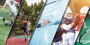 樊振东全运会表现引热议，退出世排新解读