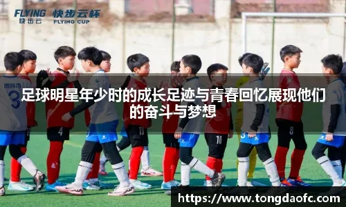 T以共振为